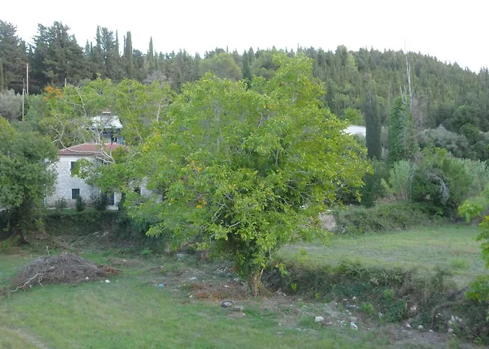 Guest house Chalikias 3*