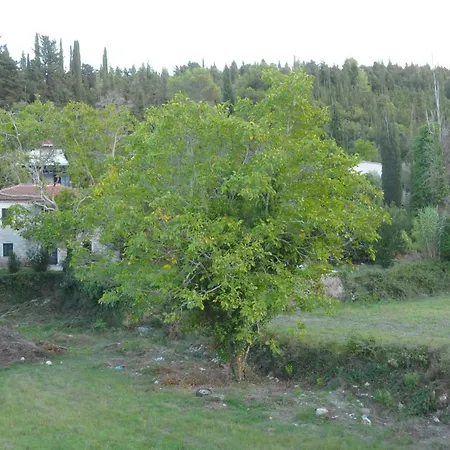 Pensionat Chalikias *