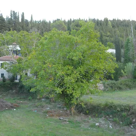 Affittacamere Chalikias 3*